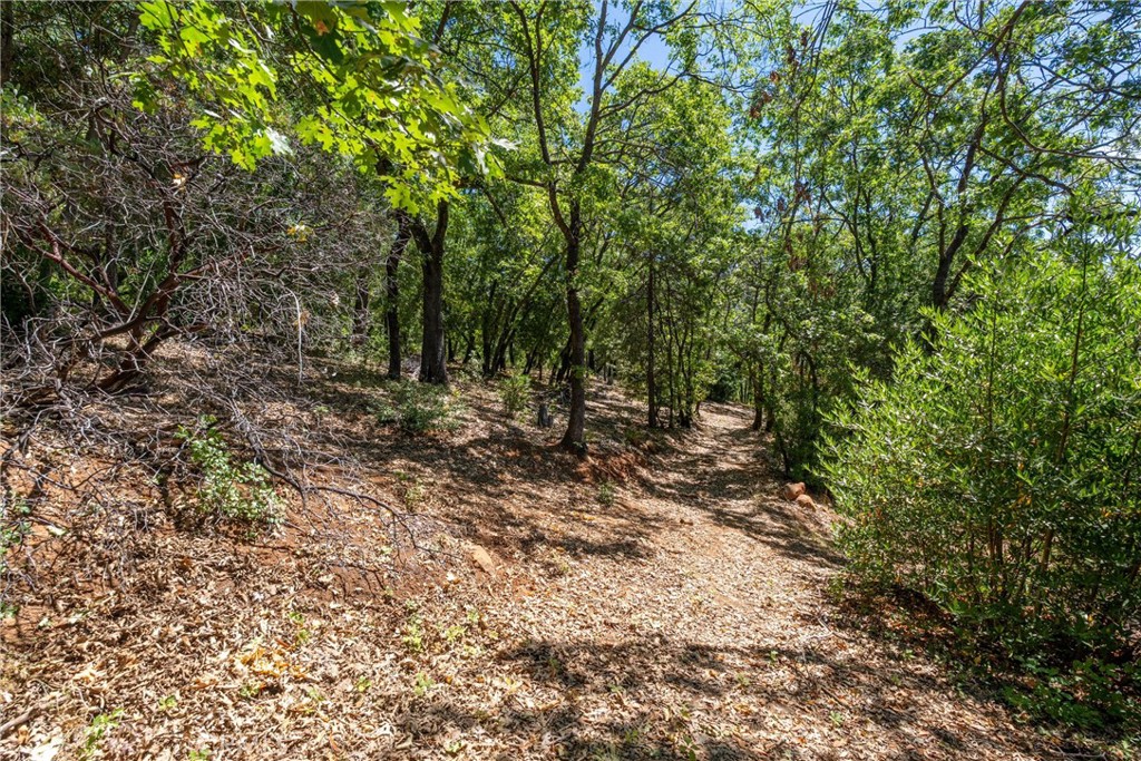 0 Knolls Drive Forest Ranch, CA 95942 - Photo 51 of 68 a view of a forest with trees in the background