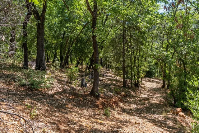 $300,000 | 0 Knolls Drive, Forest Ranch, CA 95942