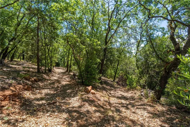 $300,000 | 0 Knolls Drive, Forest Ranch, CA 95942