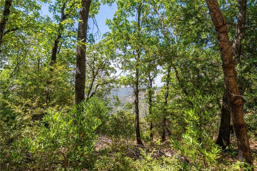 0 Knolls Drive Forest Ranch, CA 95942 - Photo 55 of 68