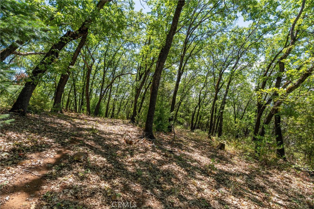 0 Knolls Drive Forest Ranch, CA 95942 - Photo 56 of 68 a view of outdoor space and trees