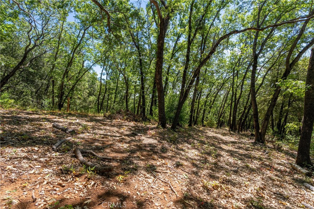 0 Knolls Drive Forest Ranch, CA 95942 - Photo 57 of 68 a view of outdoor space with trees