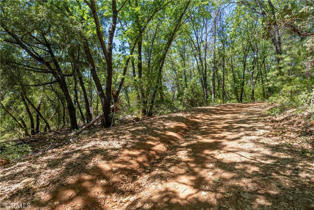0 Knolls Drive Forest Ranch, CA 95942 - Photo 59 of 68 a view of a yard with large trees
