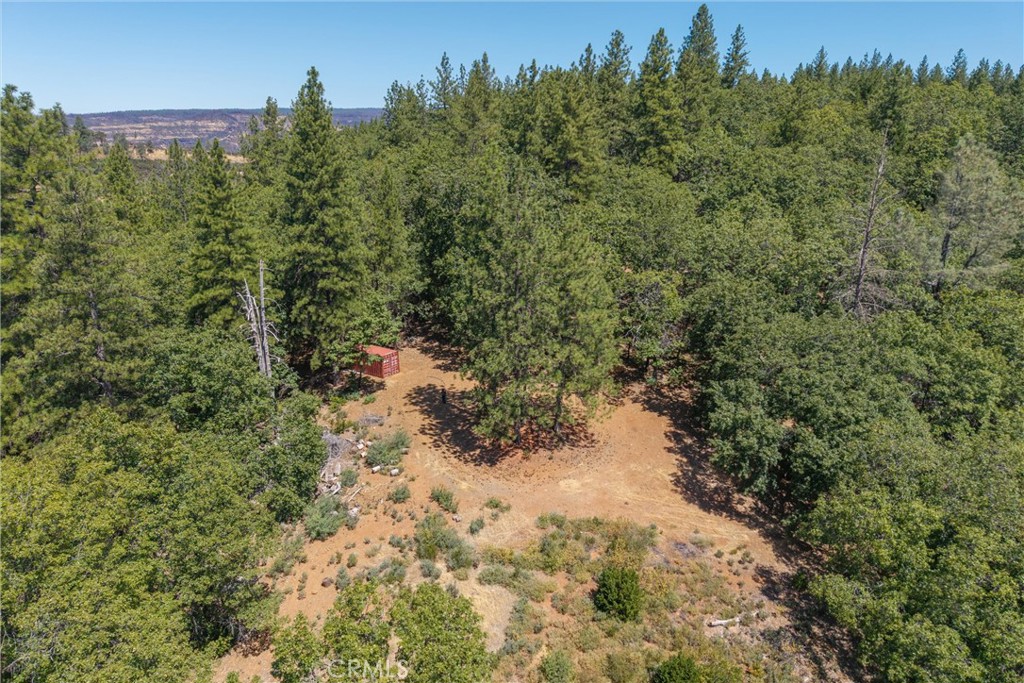 0 Knolls Drive Forest Ranch, CA 95942 - Photo 6 of 68 a view of a forest with trees in front of it