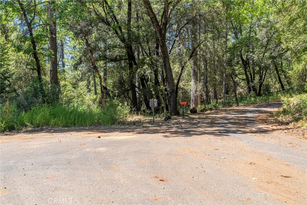 0 Knolls Drive Forest Ranch, CA 95942 - Photo 61 of 68 a view of road space with a trees