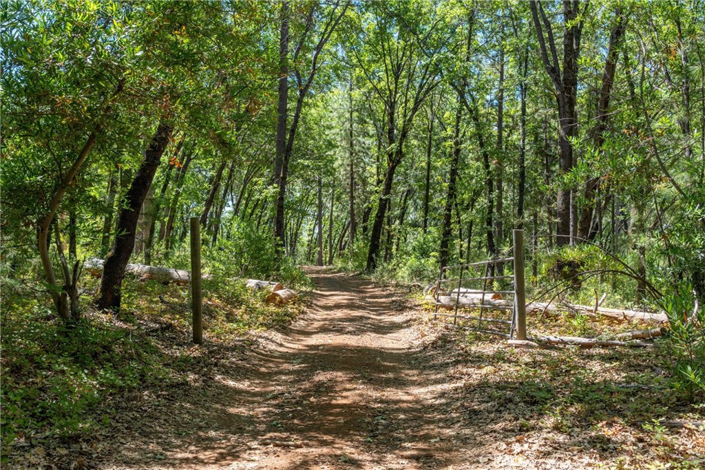 0 Knolls Drive Forest Ranch, CA 95942 - Photo 8 of 68 a view of a forest with trees