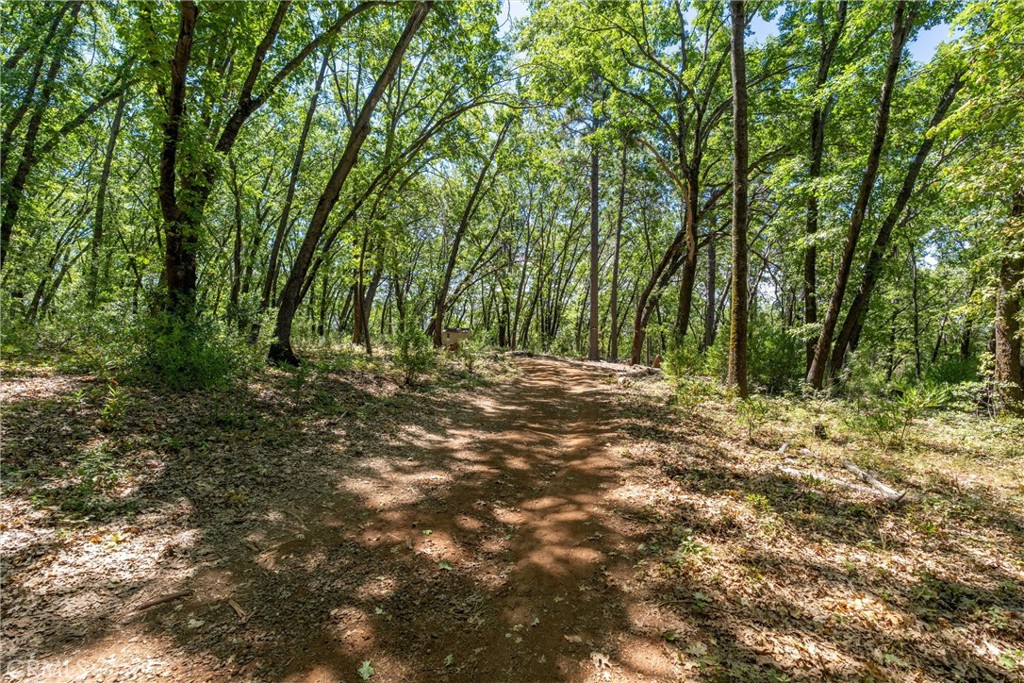 0 Knolls Drive Forest Ranch, CA 95942 - Photo 10 of 68