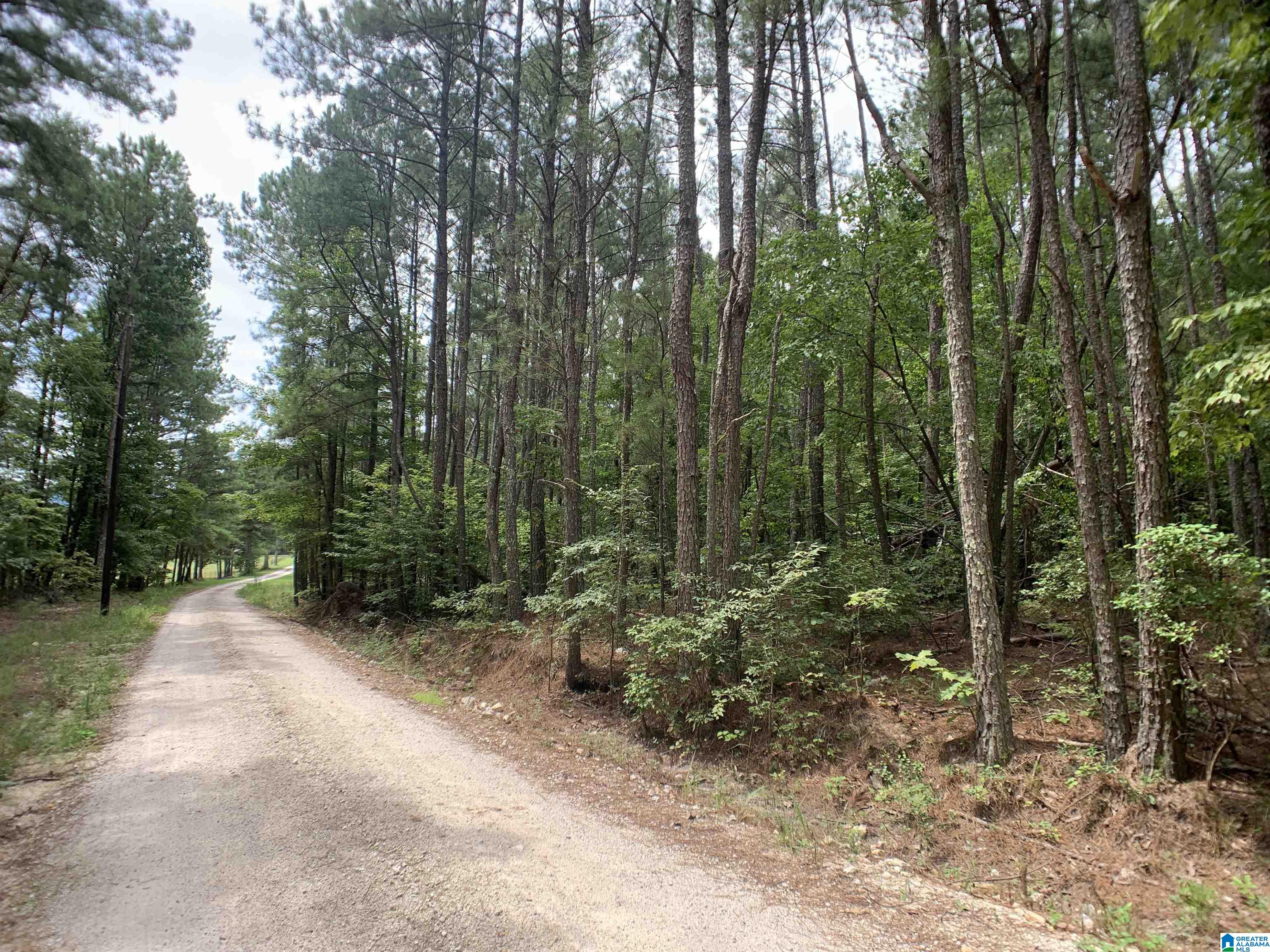 0 Arrowhead Road Piedmont, AL 36272 - Photo 6 of 8