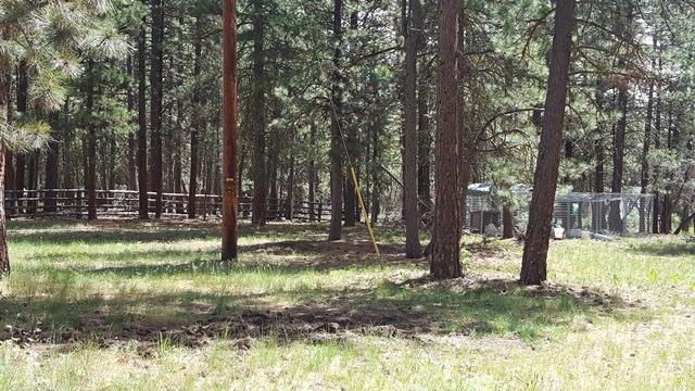 29413 Thunderbear Road Bonanza, OR 97623 - Photo 25 of 29 Sitting on 2.33 acres, there is plenty o