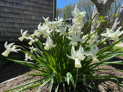 $6,595,000 | 26 Osborn Farm Lane, Wainscott, NY 11975