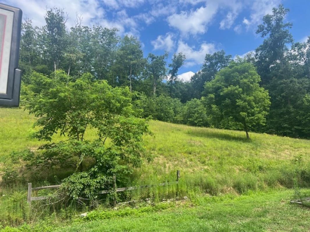 418 Brushy Creek Road Sandy Hook, KY 41171 - Photo 3 of 27
