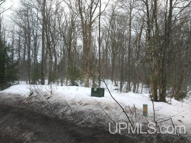 Tbd South Tbd S Co Road, Unit 519 Bessemer, MI 49911 - Photo 2 of 4