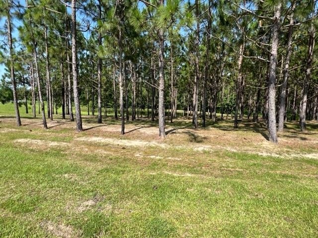 14647 Harrell Road Opp, AL 36467 - Photo 35 of 50 Gallery Image 35