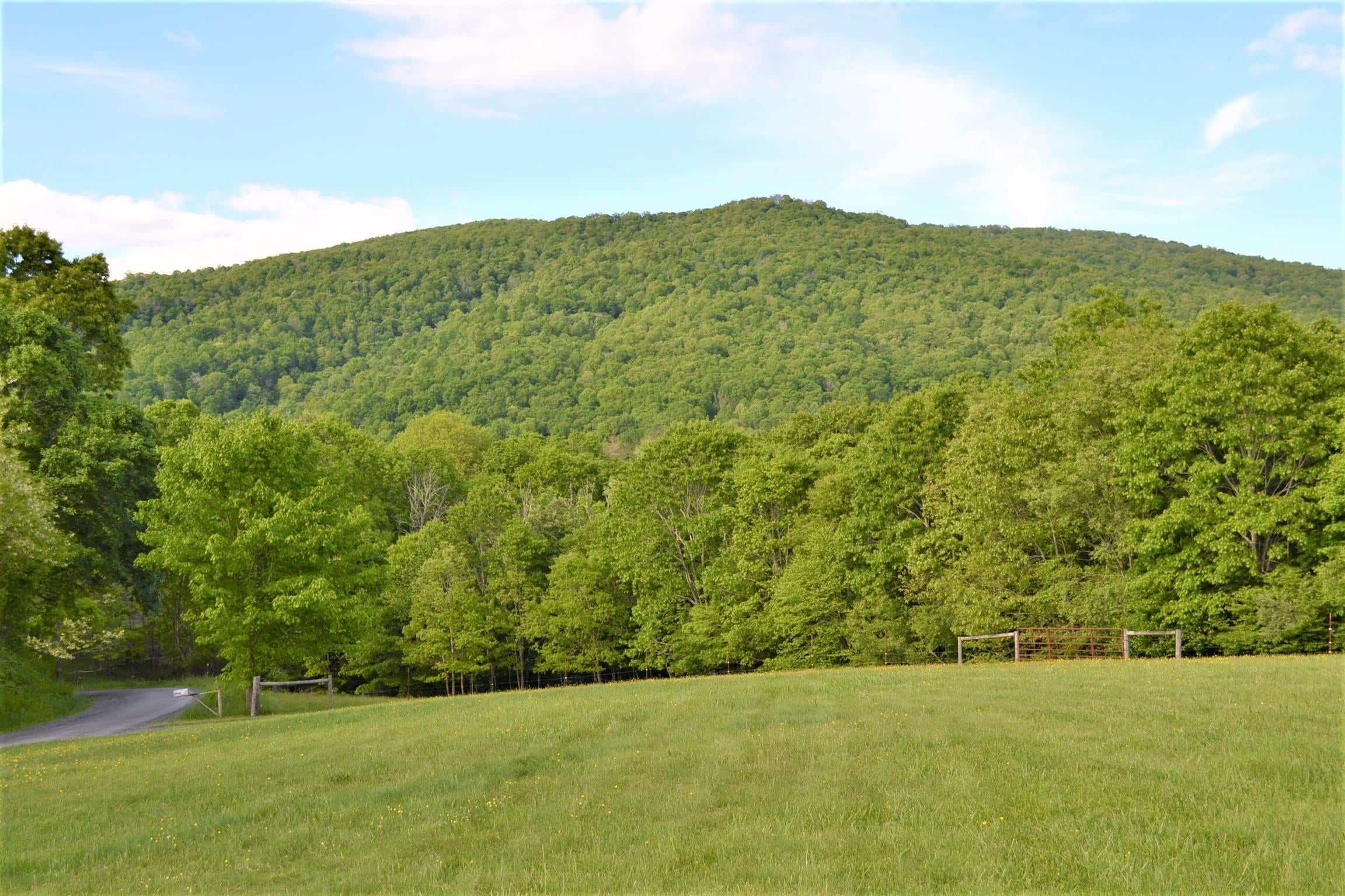 1640 Julia Road Renick, WV 24966 - Photo 18 of 77 Gallery Image 18