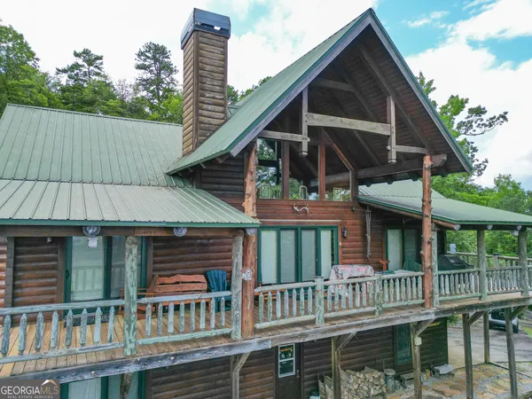 a view of a garden with plants and a large tree