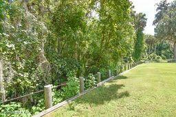 126 Norton's Fish Camp Road Satsuma, FL 32189 - Photo 20 of 25 a view of yard with green space