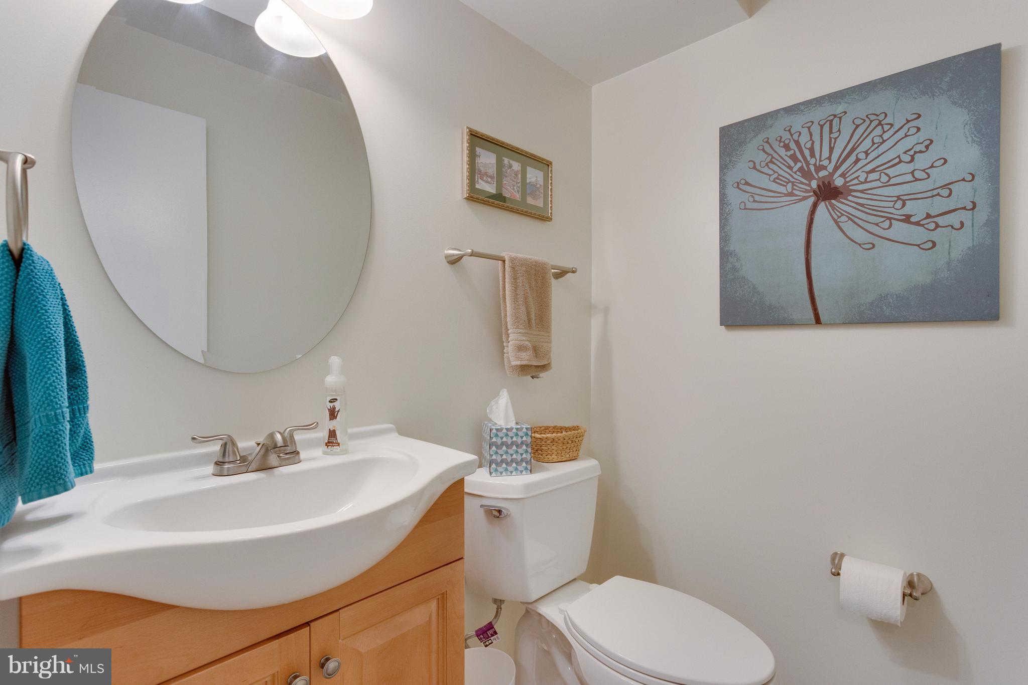 8337 Garfield Court Springfield, VA 22152 - Photo 25 of 30 Basement Bathroom