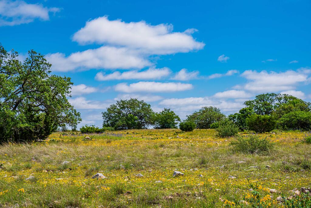 0 Morris Ranch Road Rocksprings, TX 78880 - Photo 17 of 40 Gallery Image 17