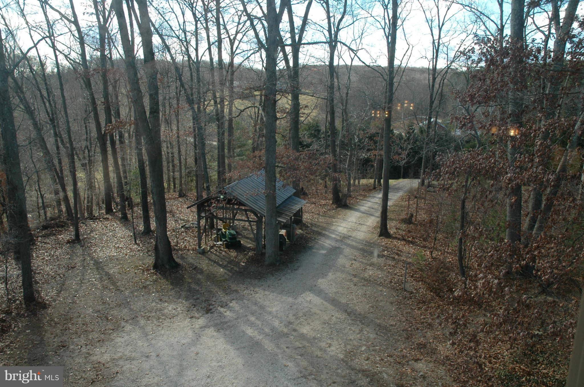 20111 Gunpowder Road Manchester, MD 21102 - Photo 11 of 30 a view of outdoor space with lots of trees