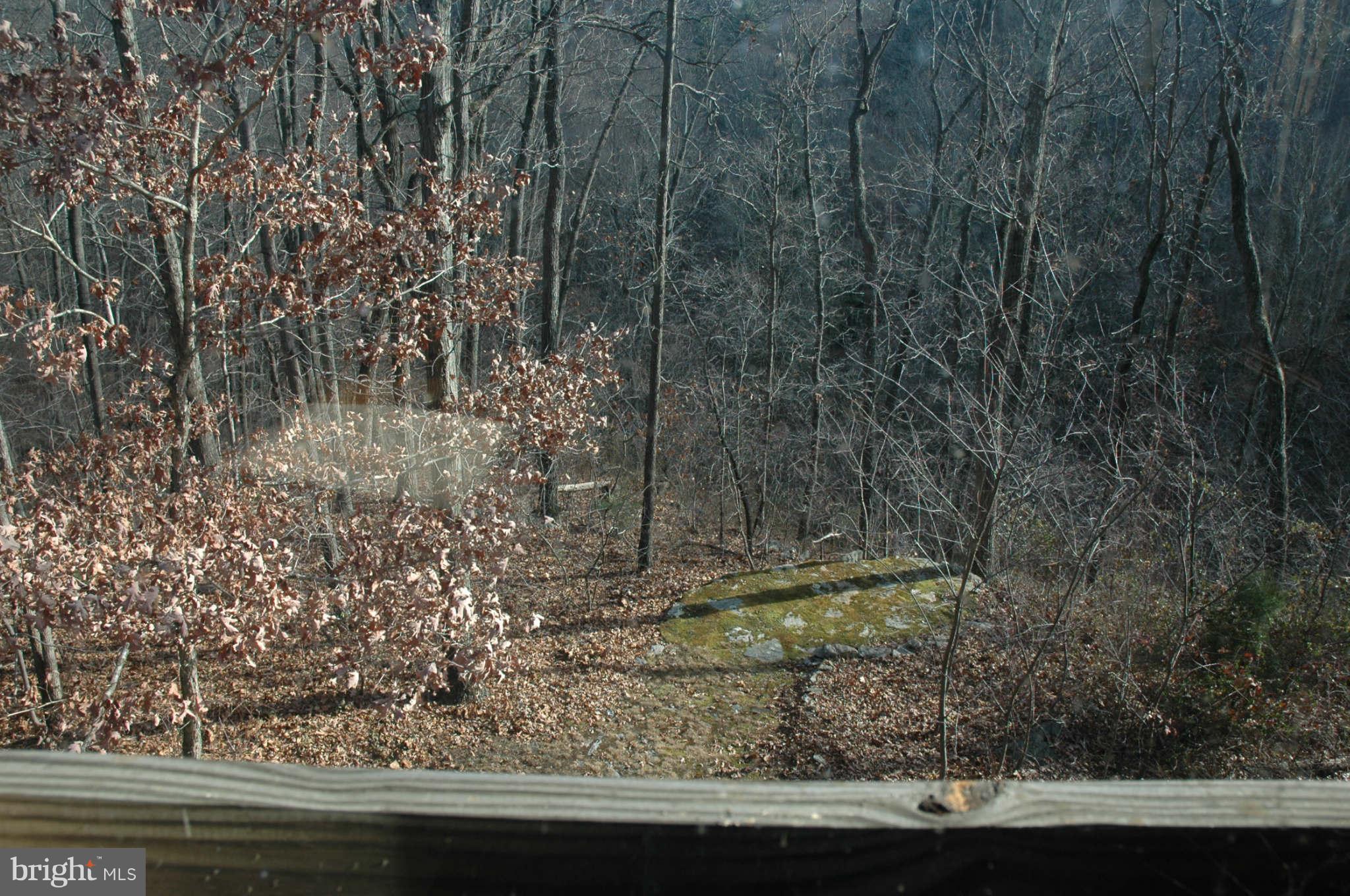 20111 Gunpowder Road Manchester, MD 21102 - Photo 13 of 30 a view of a yard from a balcony
