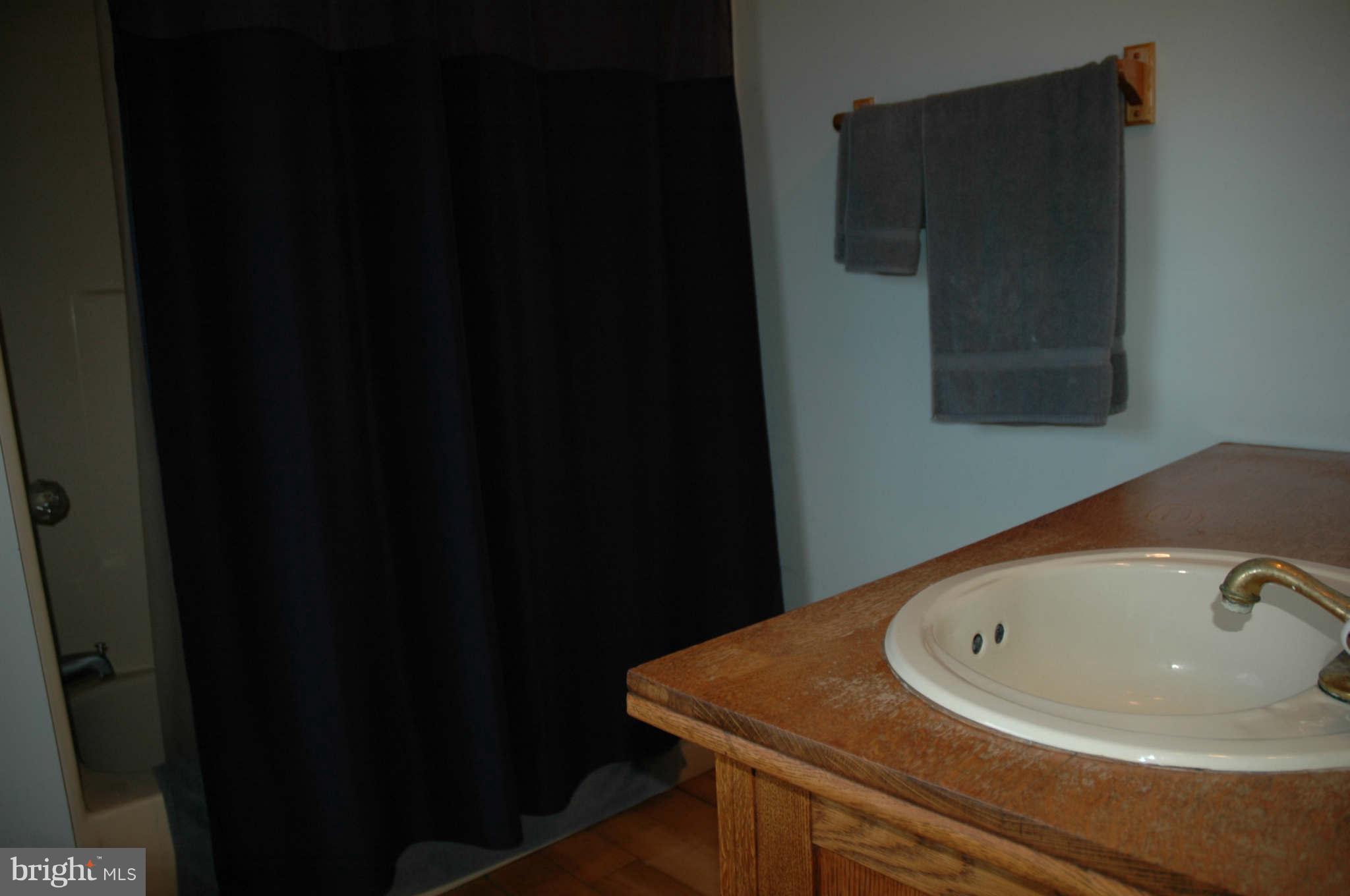 20111 Gunpowder Road Manchester, MD 21102 - Photo 25 of 30 a bathroom with a sink
