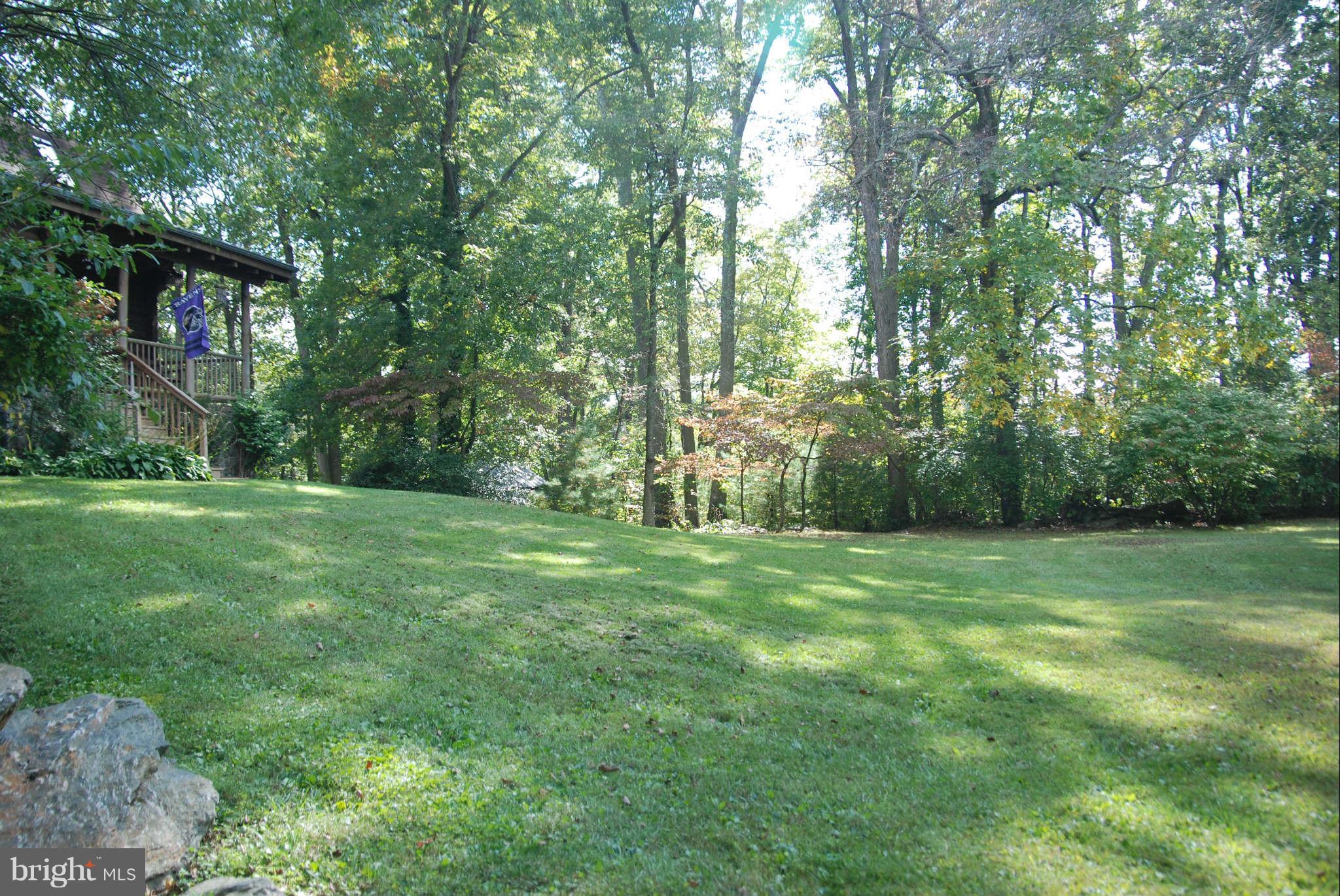 20111 Gunpowder Road Manchester, MD 21102 - Photo 6 of 30 a big yard with lots of green space and deers