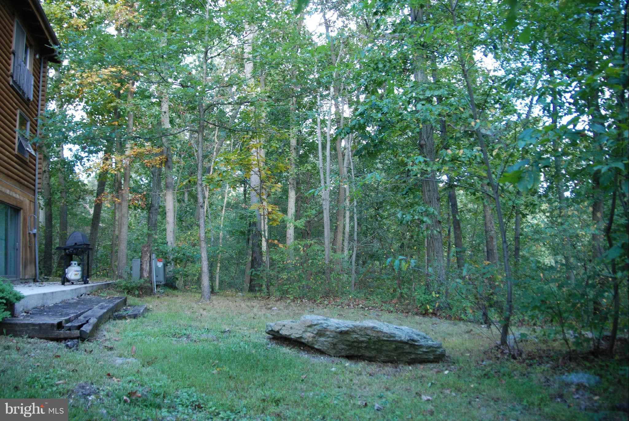 20111 Gunpowder Road Manchester, MD 21102 - Photo 9 of 30 a view of a backyard with large trees