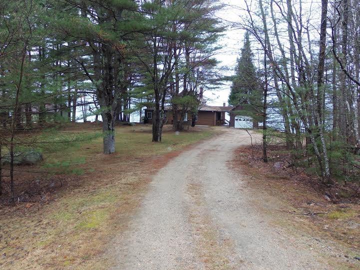 11 Sebaik Road Sebago, ME 04029 - Photo 7 of 35 DRIVEWAY AND PINE GROVE PROVIDE...