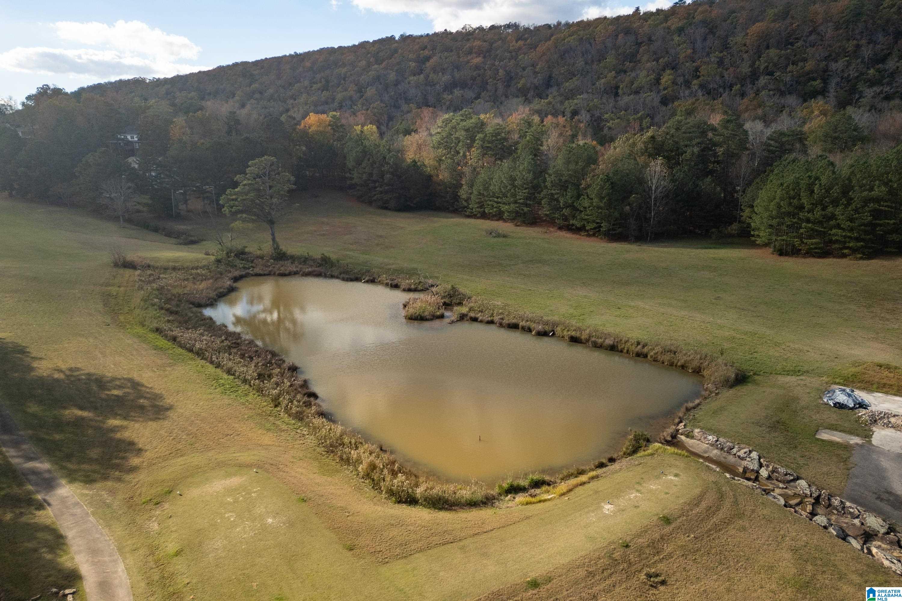 583 Heritage Road Oneonta, AL 35121 - Photo 67 of 68