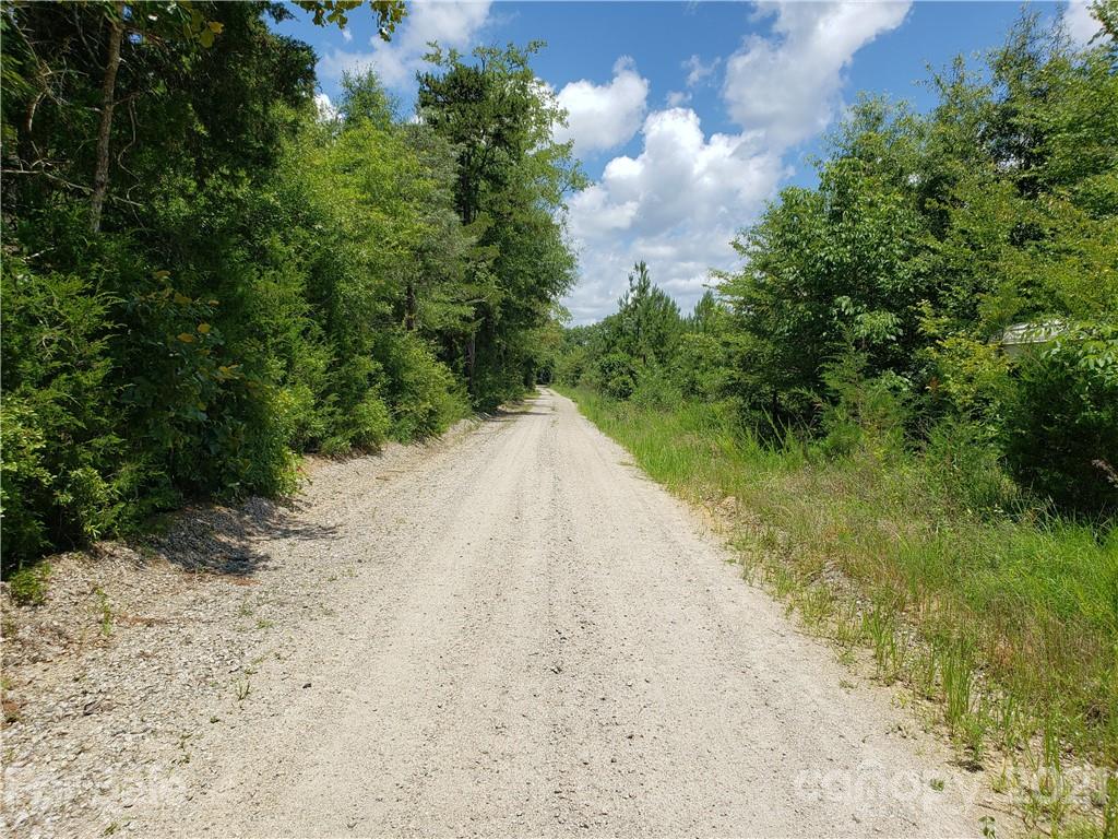 0 George Howle Road Lancaster, SC 29720 - Photo 2 of 8 a view of a dirt pathway both side of yard