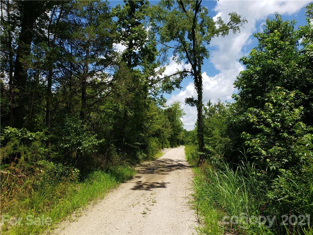 0 George Howle Road Lancaster, SC 29720 - Photo 7 of 8 a pathway of a yard