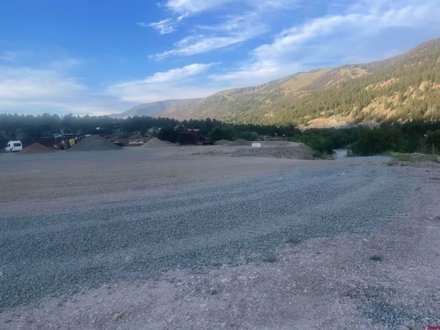 a view of a dry yard with trees