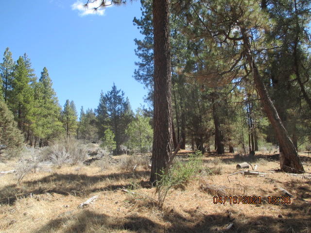 1200 Yellow Jacket (off Of) Road Beatty, OR 97621 - Photo 2 of 10 IMG_6952