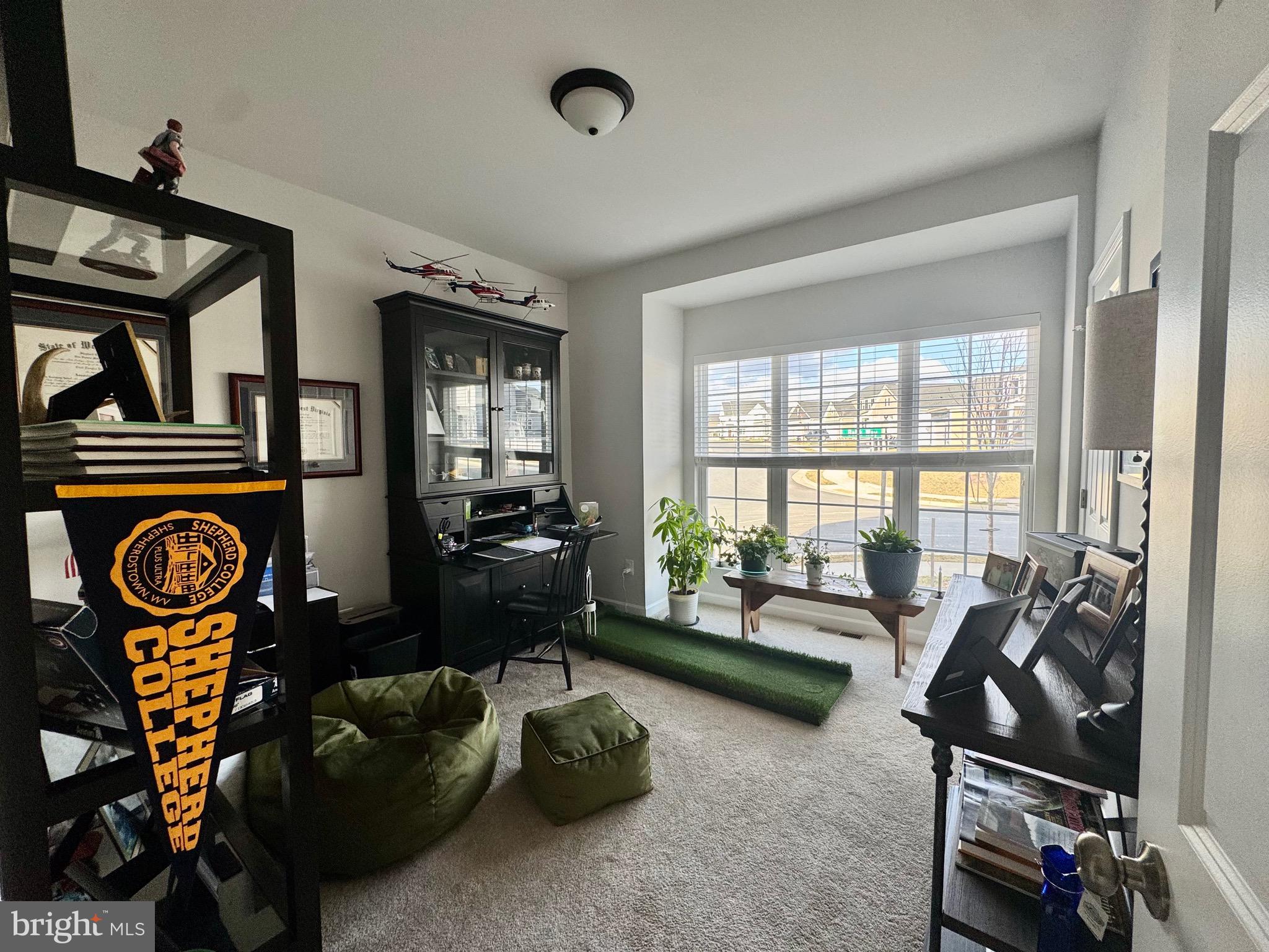 100 Batik Way Stephenson, VA 22656 - Photo 8 of 22