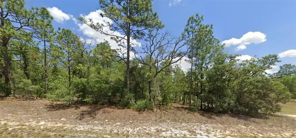 $14,000 | 9857 North Lathyrus Terrace, Dunnellon, FL 34433
