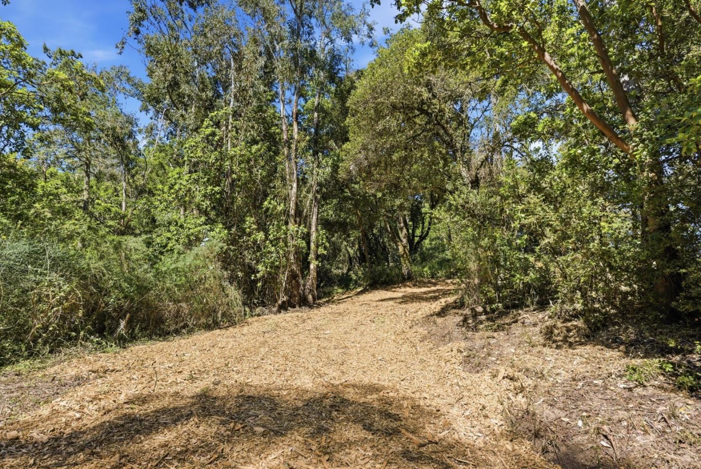 0 Page Mill Road Redwood City, CA 94062 - Photo 12 of 37