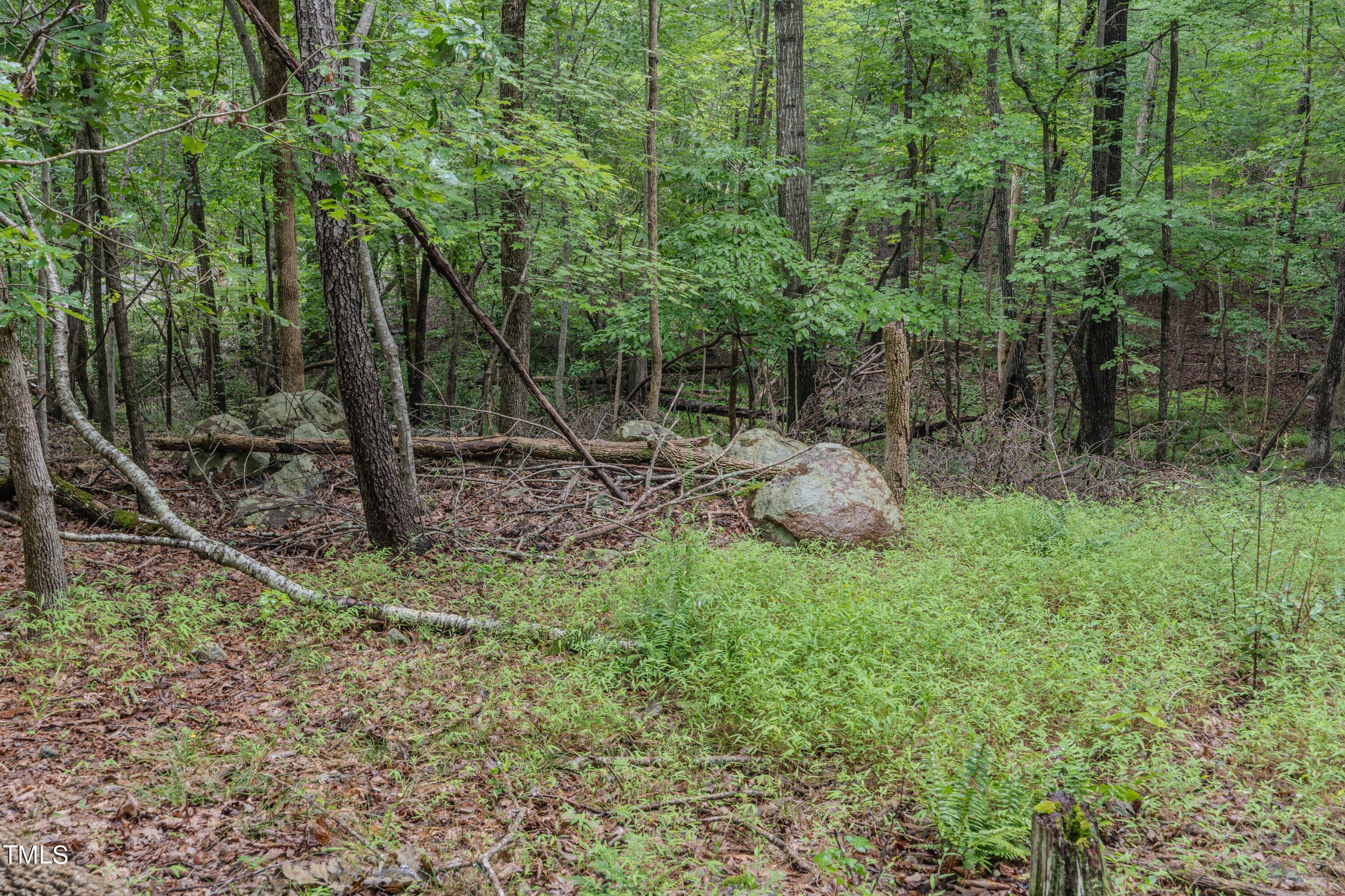 7001 Windover Drive Durham, NC 27712 - Photo 5 of 13 6