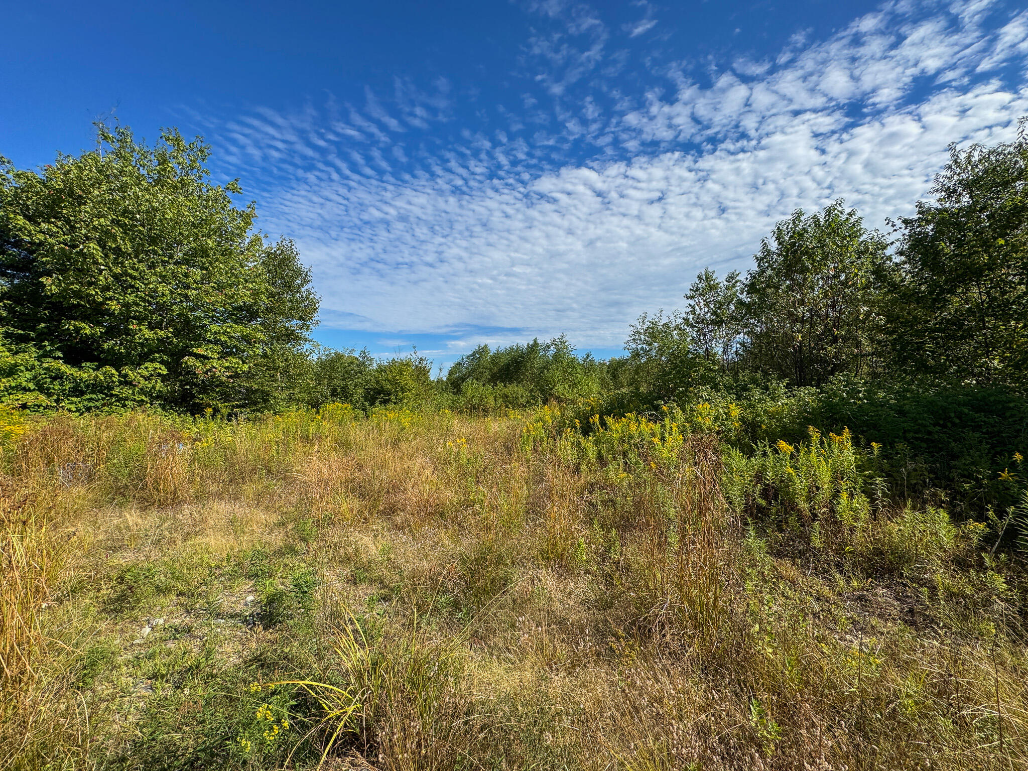 194 Seboeis Road Howland, ME 04448 - Photo 13 of 26 13