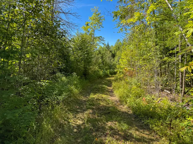 $460,000 | 194 Seboeis Road, Howland, ME 04448