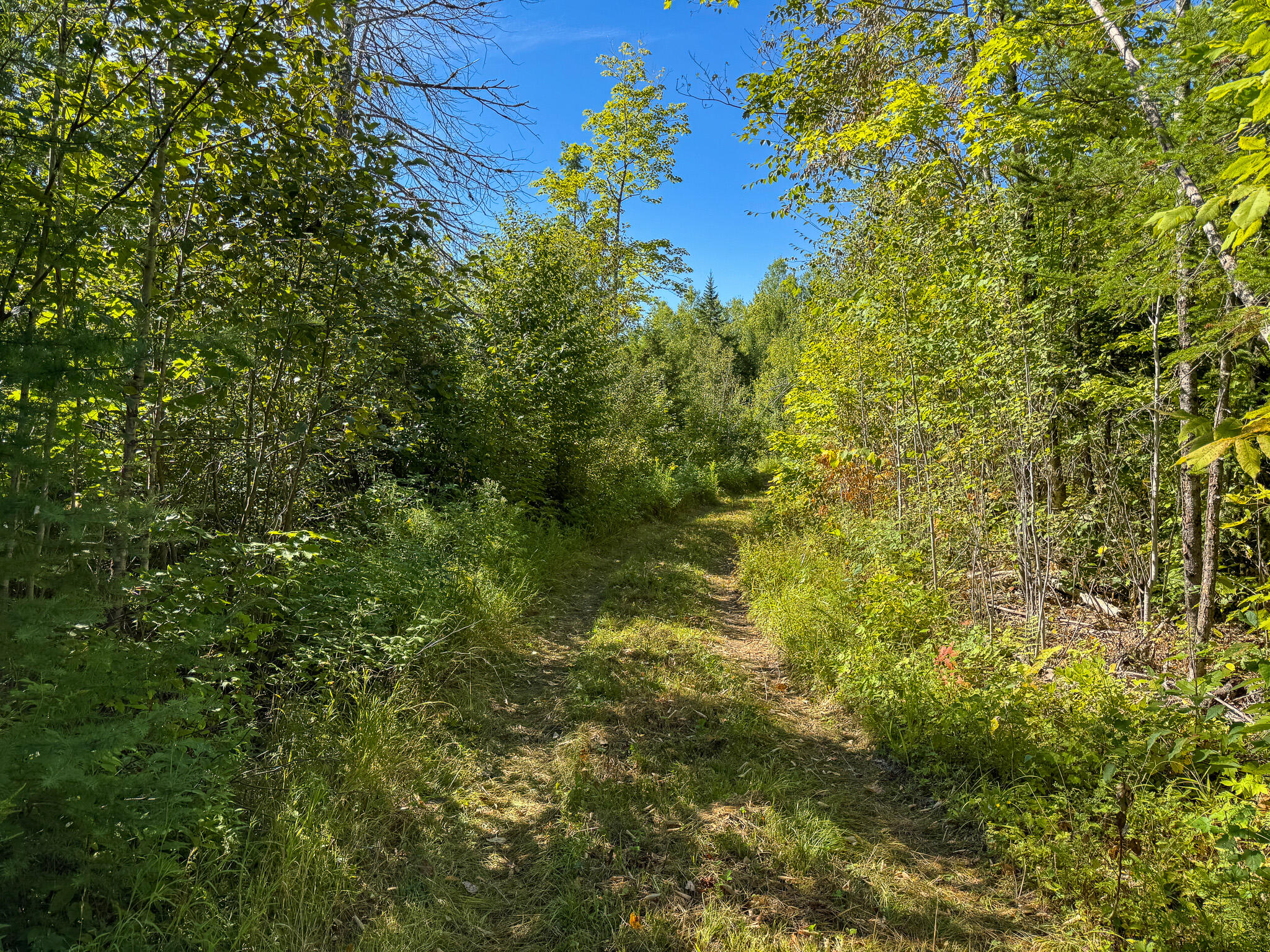 194 Seboeis Road Howland, ME 04448 - Photo 15 of 26 15