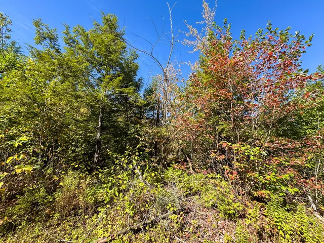 $460,000 | 194 Seboeis Road, Howland, ME 04448