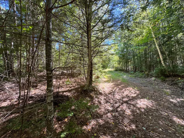 $460,000 | 194 Seboeis Road, Howland, ME 04448