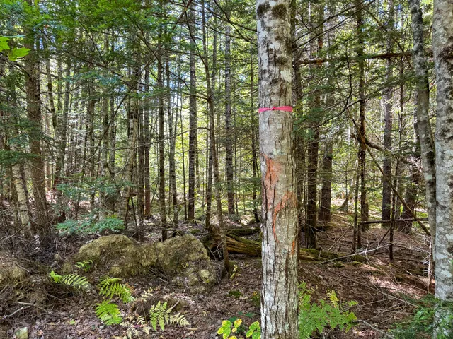 $460,000 | 194 Seboeis Road, Howland, ME 04448