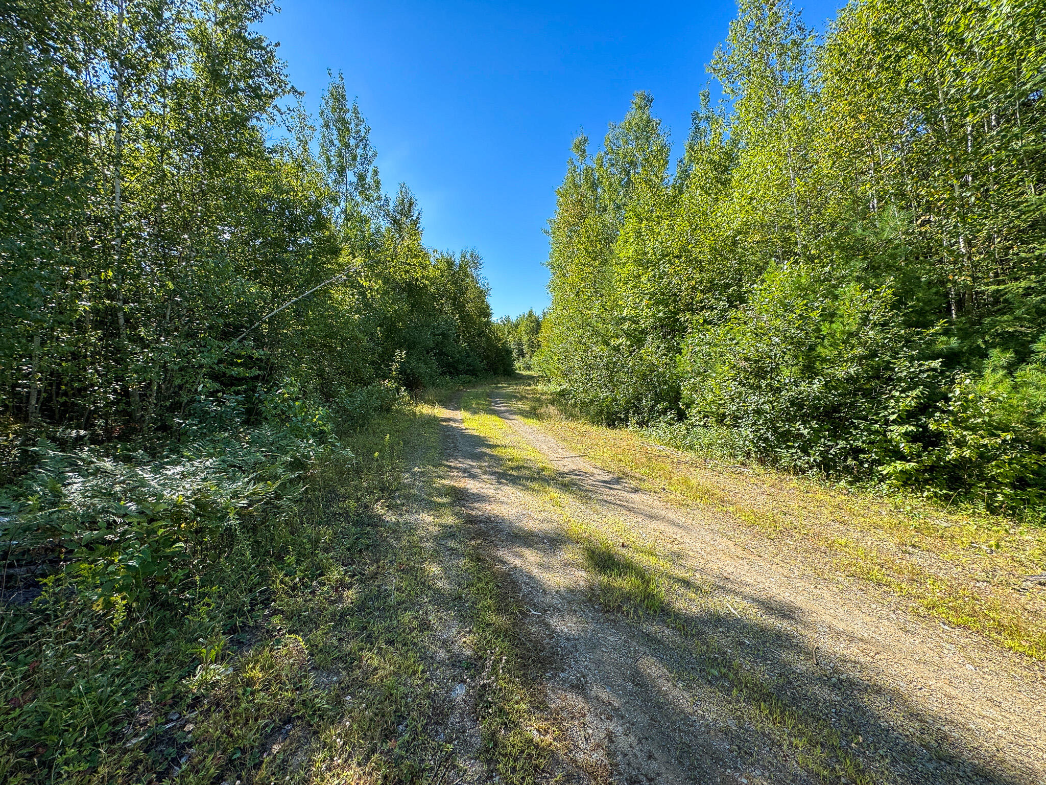 194 Seboeis Road Howland, ME 04448 - Photo 9 of 26 9