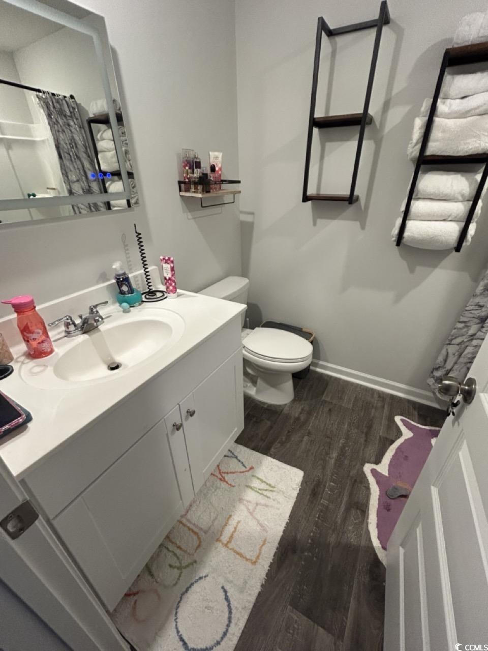 463 Ribbon Rail Way Loris, SC 29569 - Photo 11 of 27 Full bathroom with dark wood-style floors, vanity, and a shower with curtain