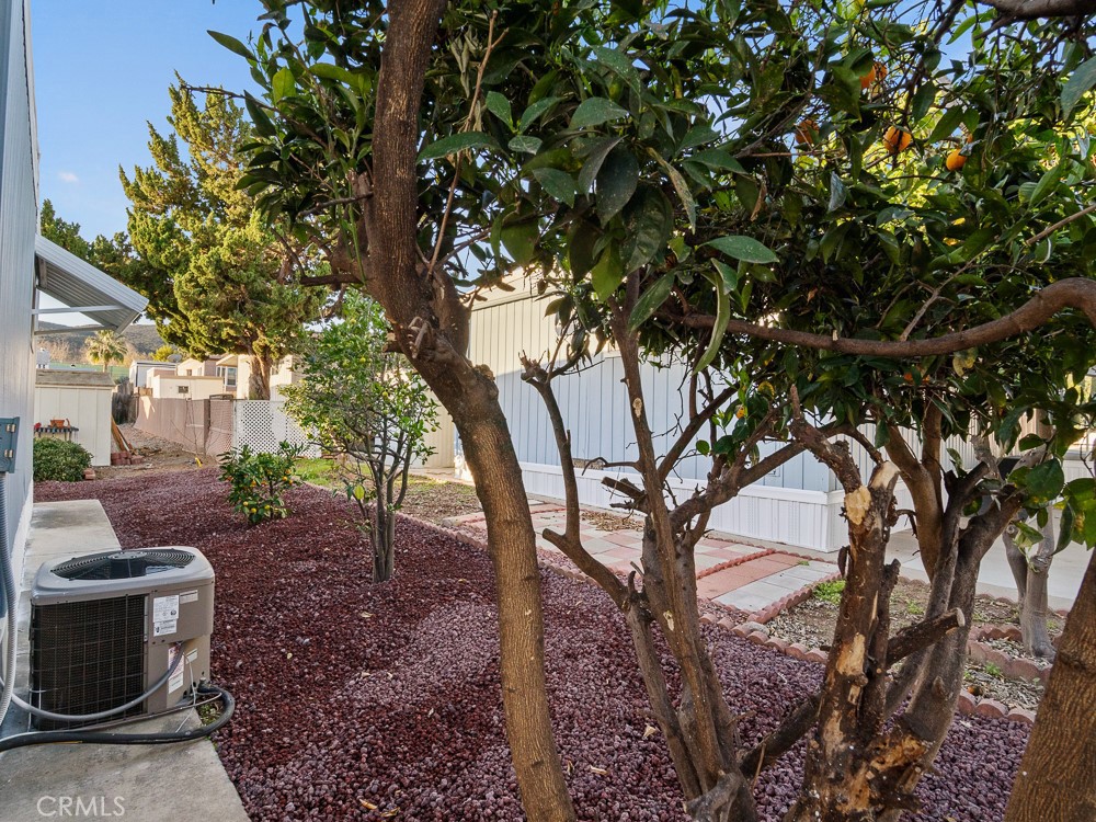 8301 Mission Gorge Road, Unit 172 Santee, CA 92071 - Photo 30 of 30 a view of a garden with plants
