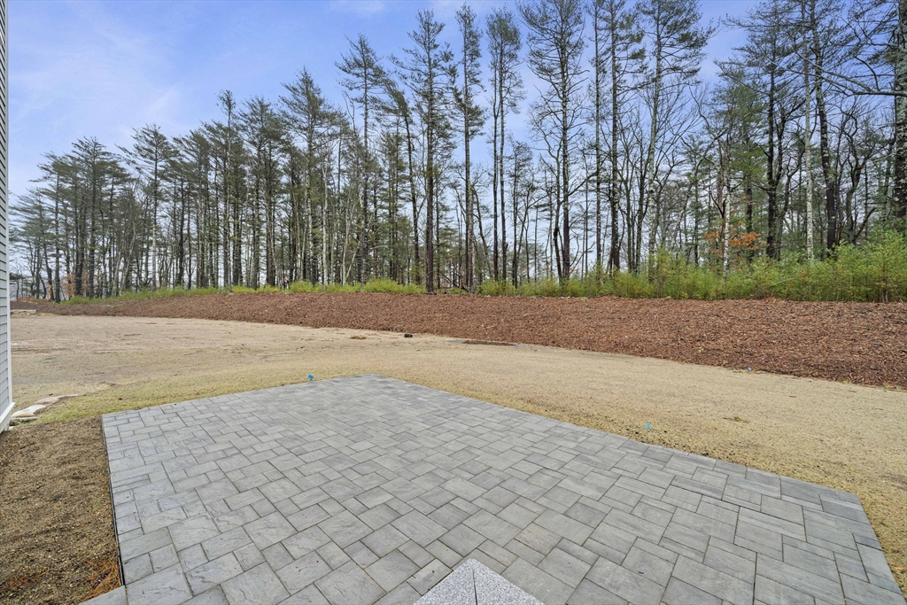 45 Red Gold Farm Road Marshfield, MA 02050 - Photo 32 of 40 a view of backyard space with trees