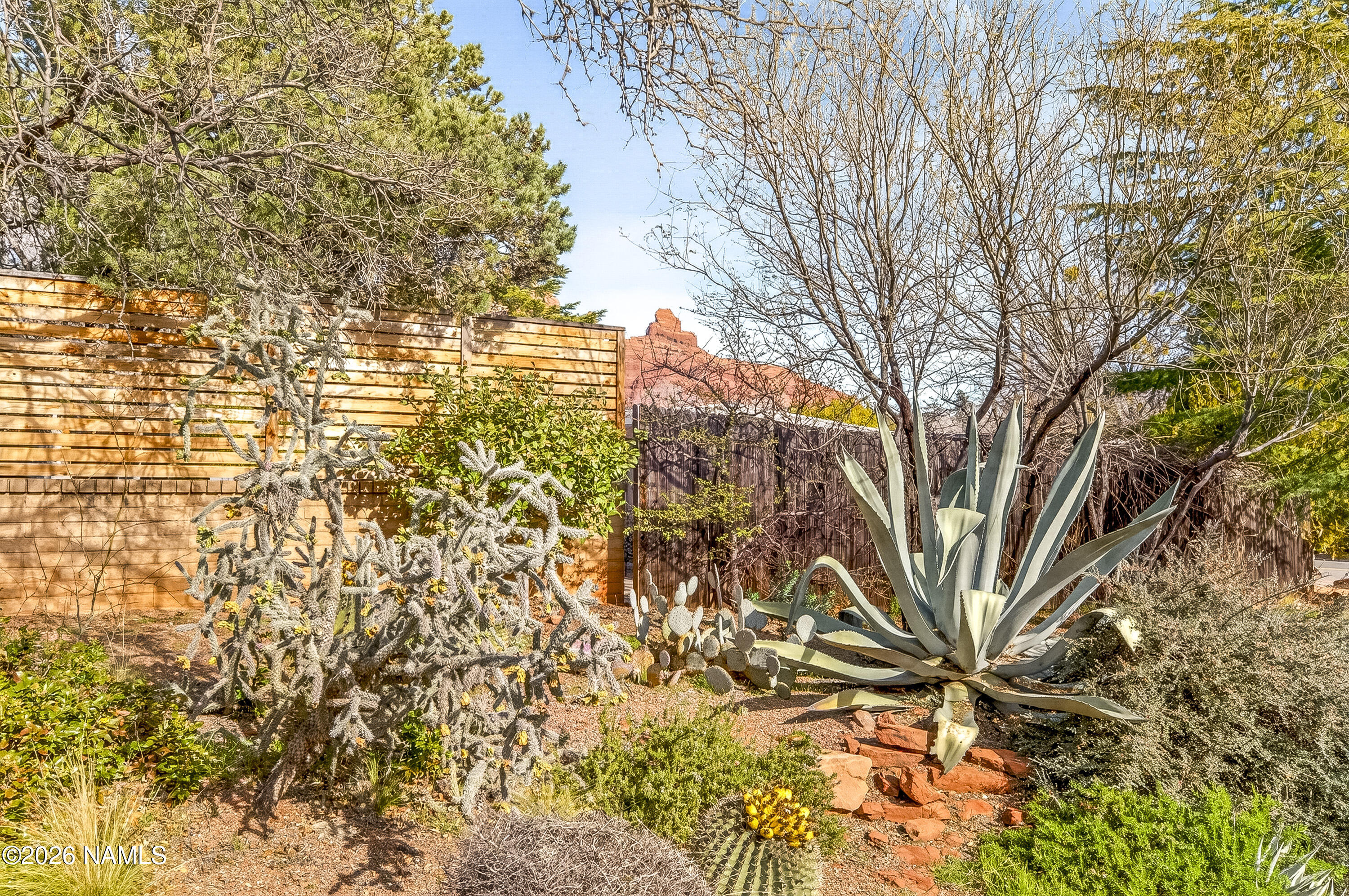 318 Capital Butte Road, Unit 2 Sedona, AZ 86336 - Photo 15 of 30 a view of tree