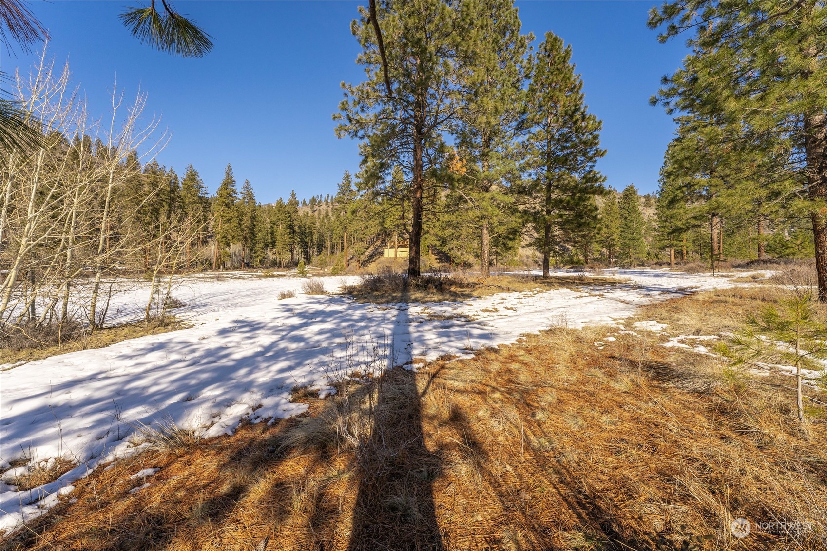 1 Moonbeam Road Manson, WA 98831 - Photo 14 of 38 Gallery Image 14