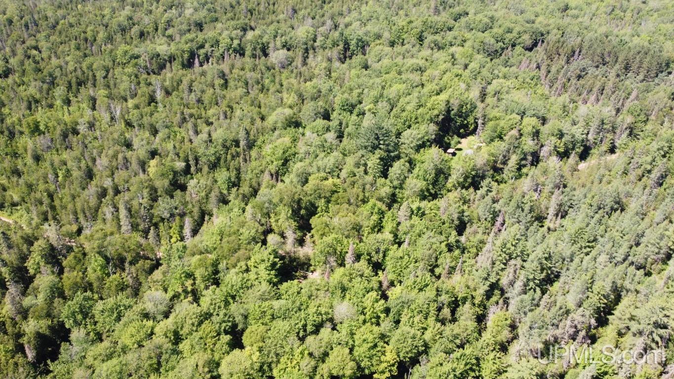 Tbd Tbd Stack Grade Little Lake Rock, MI 49880 - Photo 33 of 45